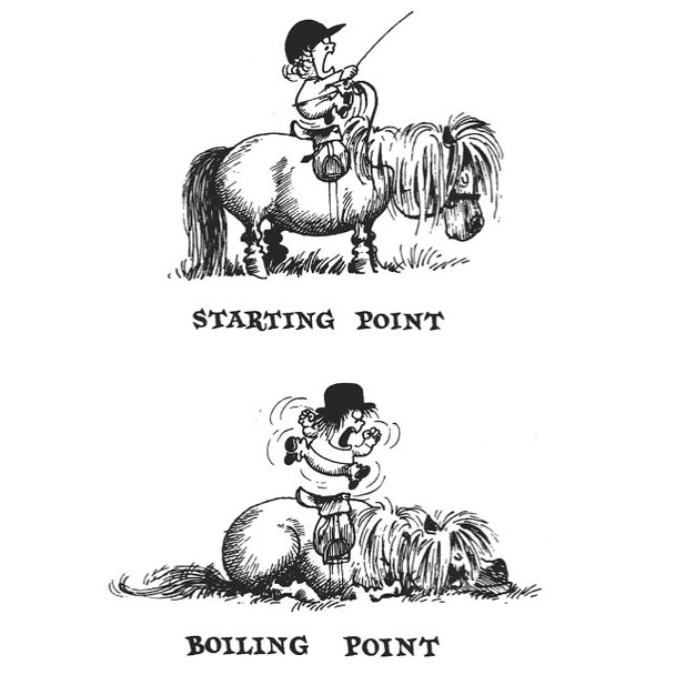 Thelwell's Pony Panorama, Three Books in One