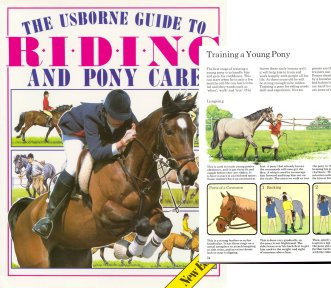 The Usborne Guide to Riding & Pony Care