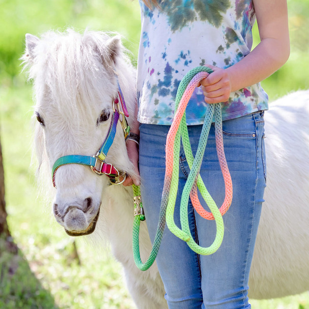 Hamilton Quality Nylon Adjustable 3/4" Halter, Rainbow, Small Pony