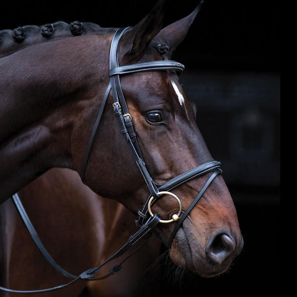 Amigo Deluxe Padded Pony Bridle with Flash Noseband, Black or Brown