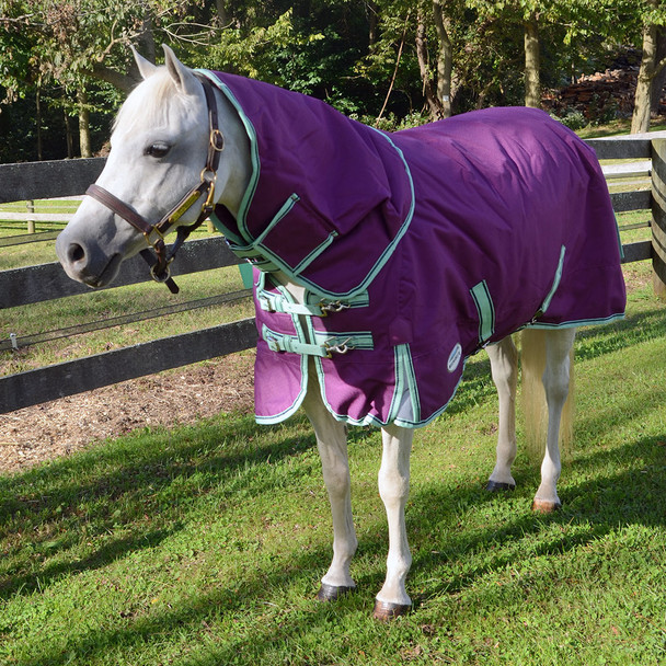 Weatherbeeta Comfitec Premier Freedom Pony Detach-a-Neck Turnout Sheet, 48" - 69"