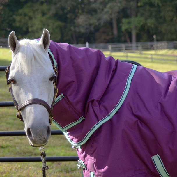 Weatherbeeta Comfitec Premier Freedom Pony Detach-a-Neck Medium Turnout Blanket, 48" - 69"