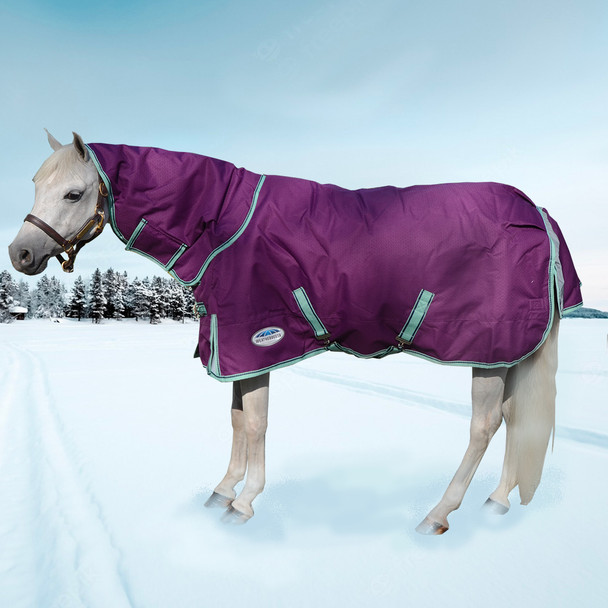 Weatherbeeta Comfitec Premier Freedom Pony Detach-a-Neck Medium Turnout Blanket, 48" - 69"