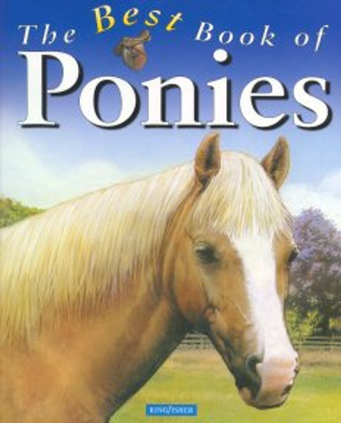 The Best Book of Ponies