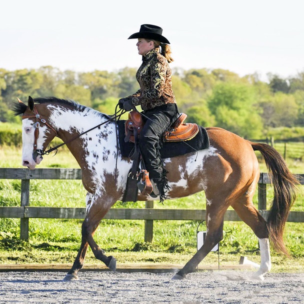 Breyer Truly Unsurpassed, Western Dressage Champion