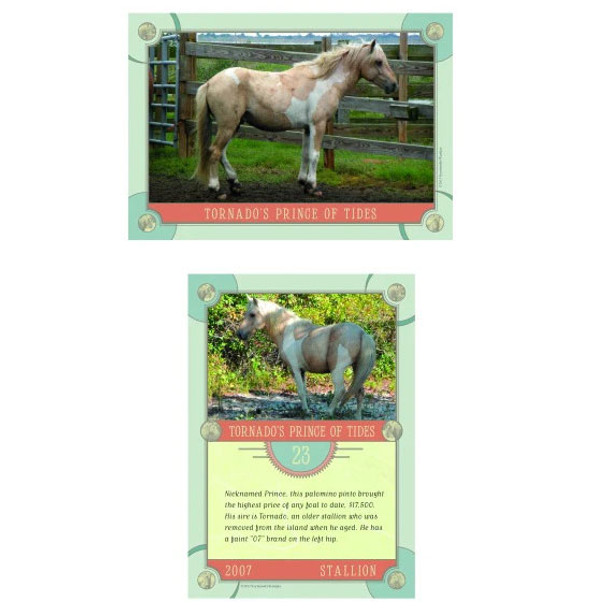 Chincoteague Pony Identification Cards