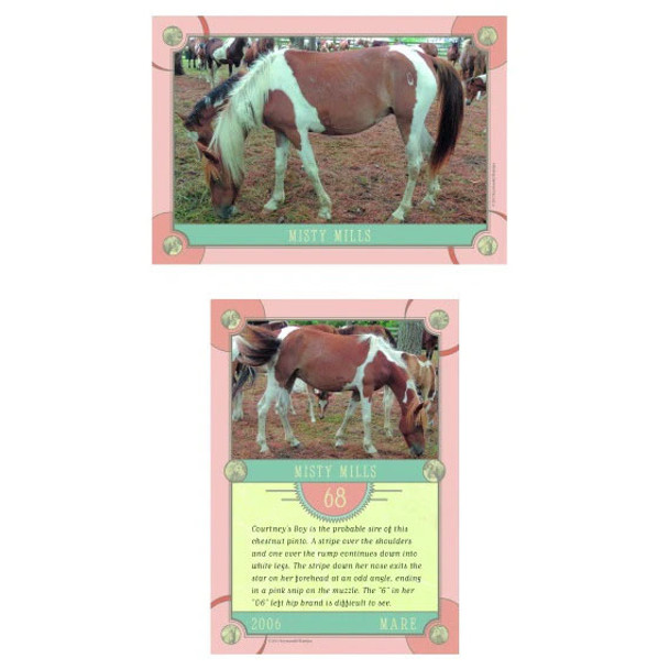 Chincoteague Pony Identification Cards