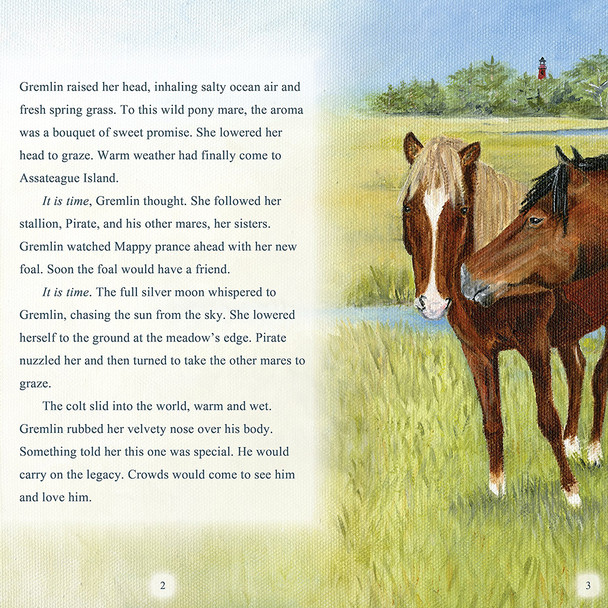 Surfer Dude,  The Legendary Stallion of Chincoteague