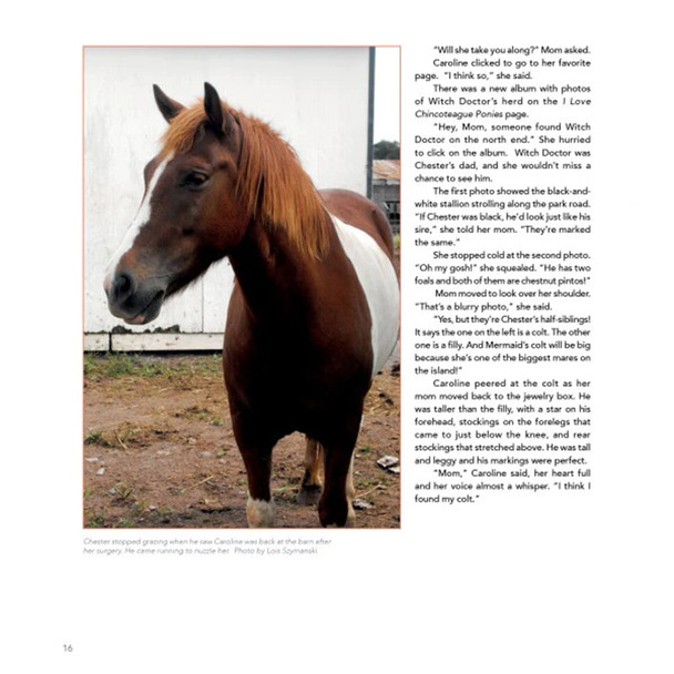 The True Story of Quintilius,  A Chincoteague Pony