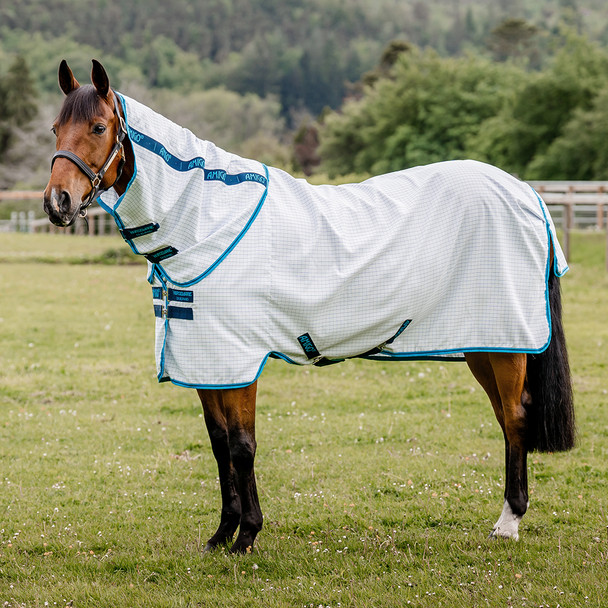 Amigo Aussie All-Rounder Fly/UV Sheet, Navy Check/Electric Blue & Navy, 54" - 69"