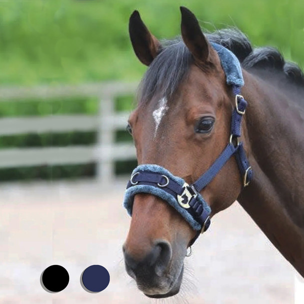 Shires Fleece Lined Lunging Caveson, Two Colors, Pony & Cob