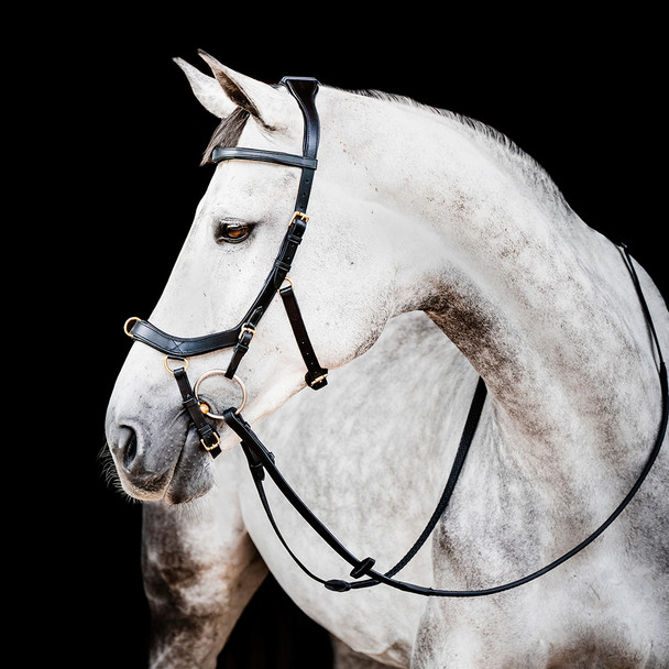 Rambo Original Micklem Multi-Bridle & Reins, Black or Brown, Pony
