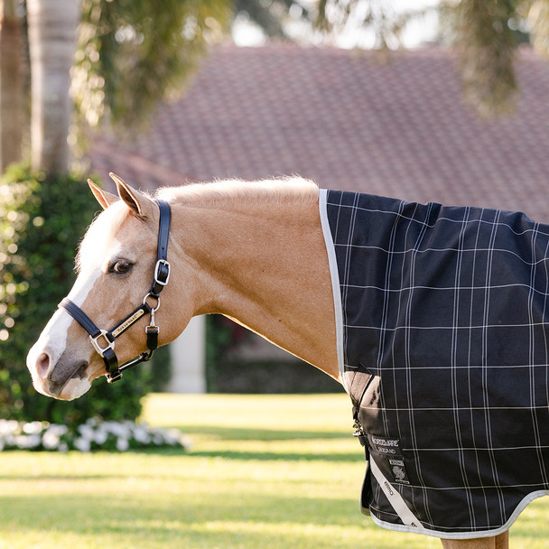 Closeup of high neck on Rhino Pony Wug Turnout Sheet.