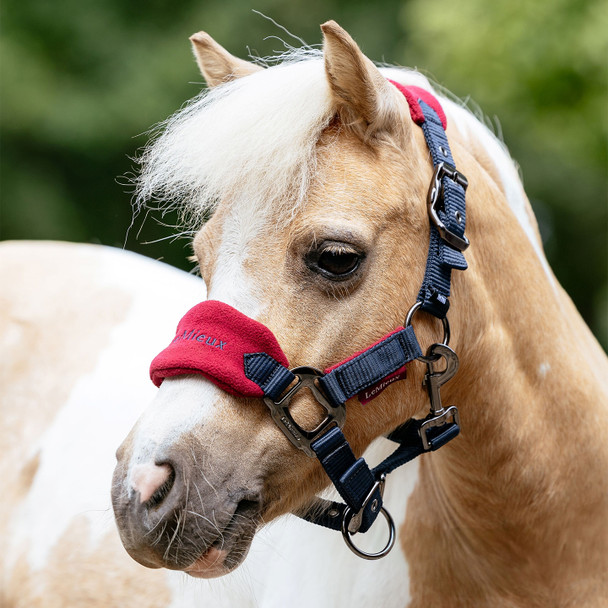 LeMieux Mini Vogue Halter & Leadrope, Burgundy on pony.