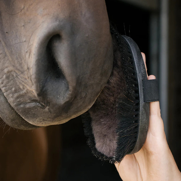Horses love the merino lambswool in the center of this brush.