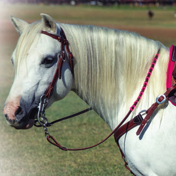 Pink western laced rein on pony.