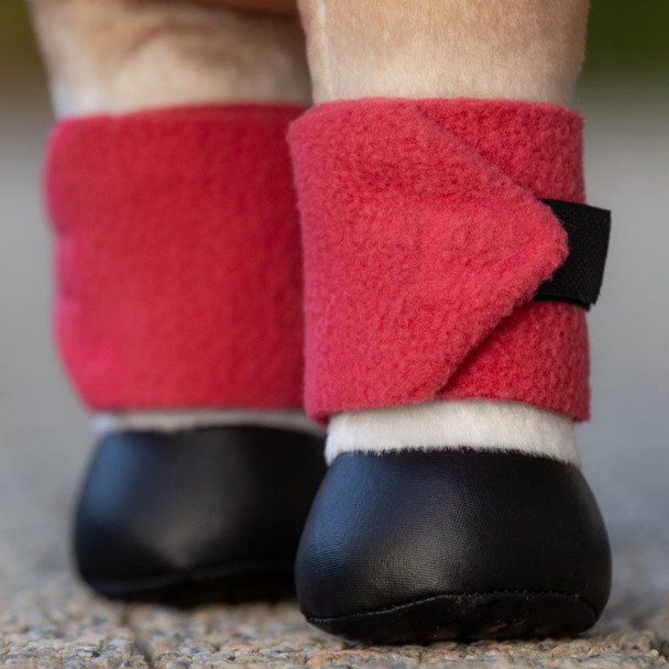 Cranberry polos on LeMieux toy pony.