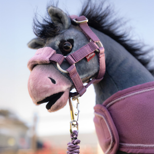 LeMieux Toy Comet wearing Pony Halter & Leadrope, Mallow.