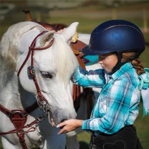 Professional's Choice Pony Bridle Set, 2 Color Options.