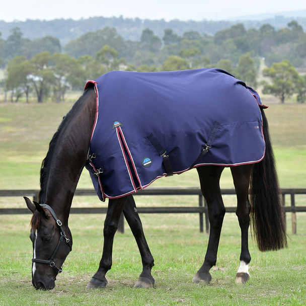 Weatherbeeta 1200 denier pony turnut sheet.