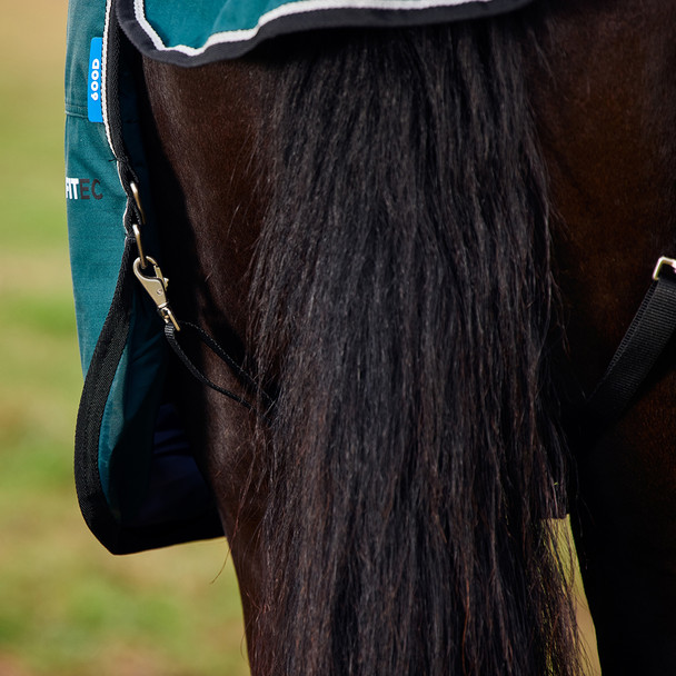 Weatherbeeta Comfitec Classic Turnout, 220g, Forest Green/ Black, 60" - 69".