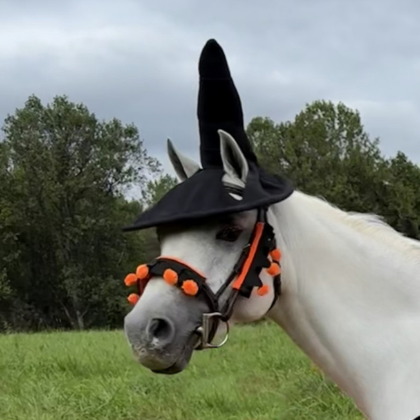  Halloween Horse Wear, Witches Hat.