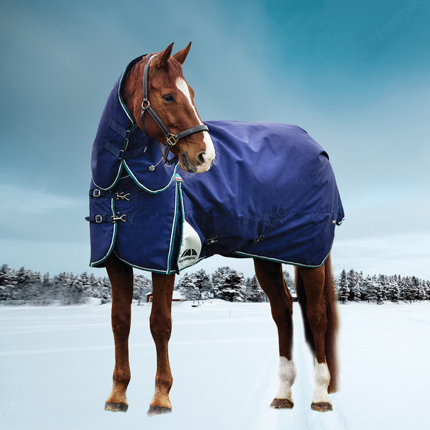 Weatherbeeta Comfitec + Dynamic Detach-A-Neck 360g T/O, Navy/ Forest Green 66" - 69"