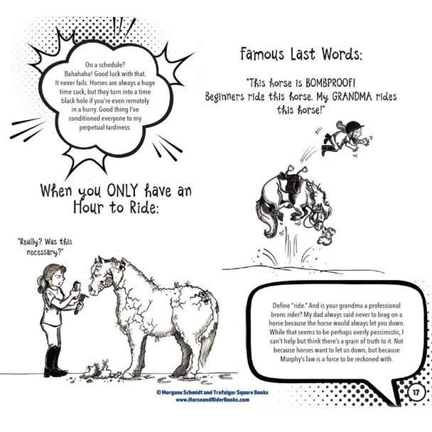 When you only have one hour to ride - funny horse book.
