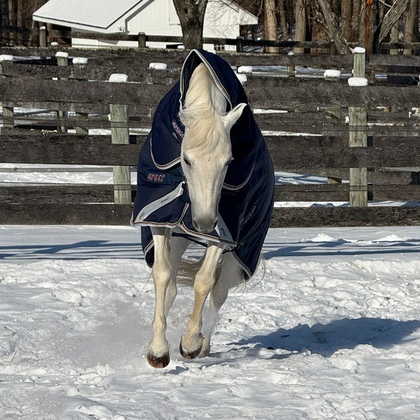 Heavy pony blanket with detachable hood.