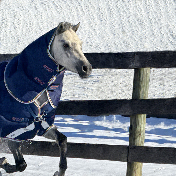 Pony heavy blanket from Horseware.