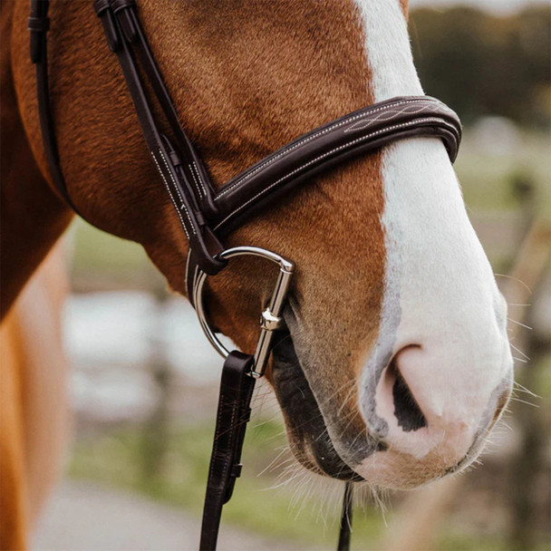 Herm Sprenger "The Hunter" KK Single Joint D-Ring.