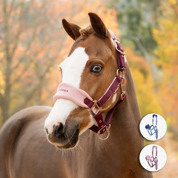 LeMieux Mini Vogue Headcollar & Leadrope,  Blackberry.
