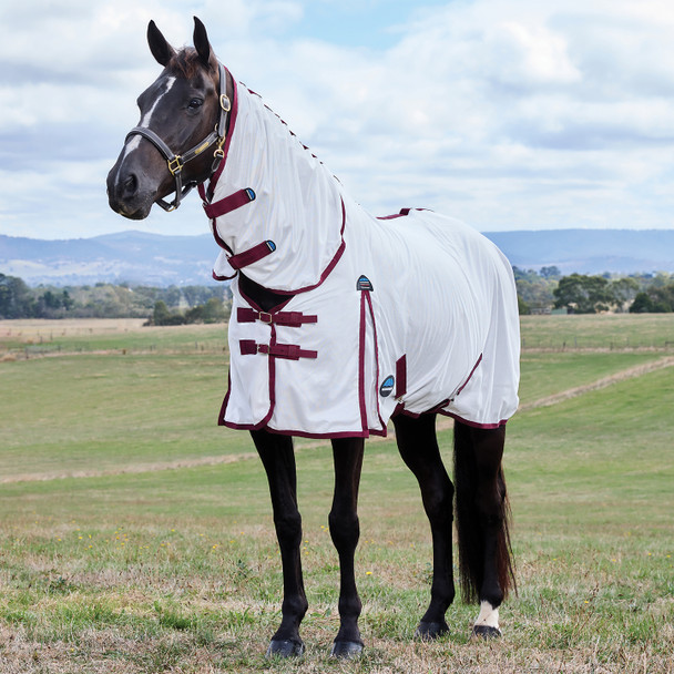 Weatherbeeta ComFiTec Essential Combo Pony Fly Sheet, White/Burgundy.