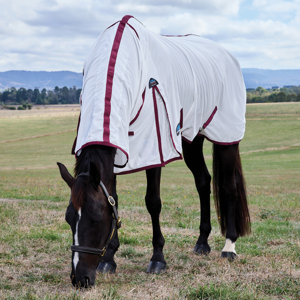 Weatherbeeta ComFiTec Essential Combo Pony Fly Sheet, White/Burgundy, 48" - 69"