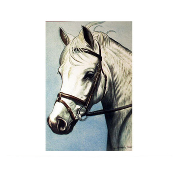 Grey Welsh Pony Greeting Cards, 6 Pack, By Janet Griffin-Scott