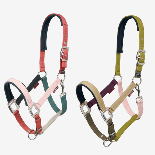 LeMieux Medley Halter, Spiced Earth/Petal/Aloe & Gooseberry/Pear/Petal
