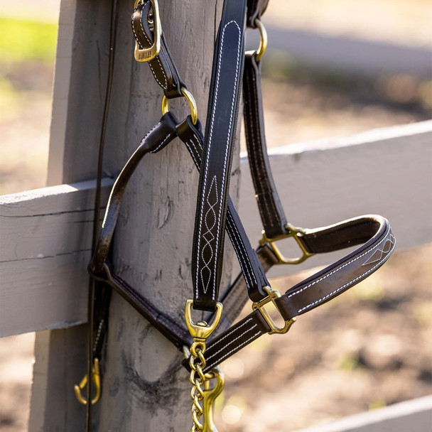 Huntley Equestrian Leather Lead with Brass Chain

