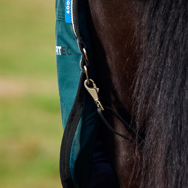 Weatherbeeta Comfitec Essential Std Neck Turnout Sheet, 0g, Green/Black, 48" - 69"