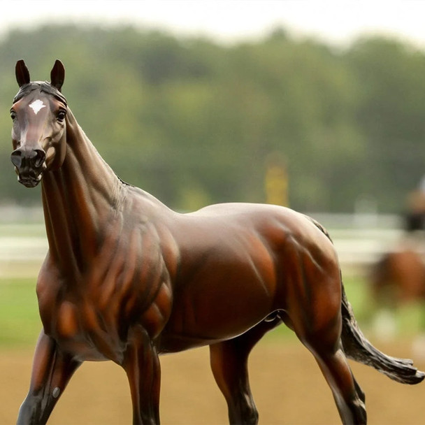 Breyer Cody's Wish | Make-A-Wish Commemorative Edition.