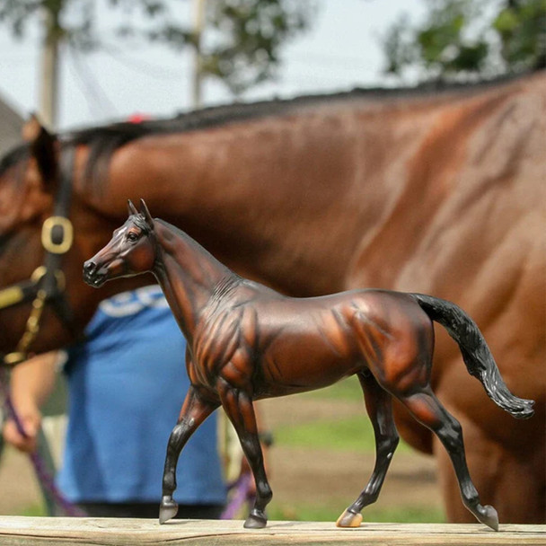Breyer Cody's Wish | Make-A-Wish Commemorative Edition.