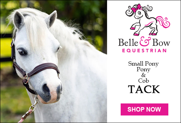 Belle & Bow small pony, pony & cob tack