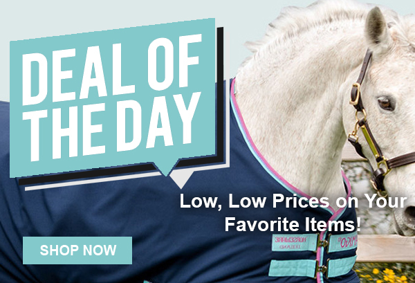 Just for Ponies Deal of the Day, Sale