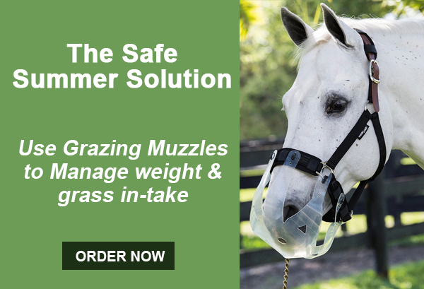 pony grazing muzzles - Spring grass can be high in sugar and risky for ponies. Learn how grazing muzzles help control intake, reduce laminitis risk, and safely manage spring pasture.