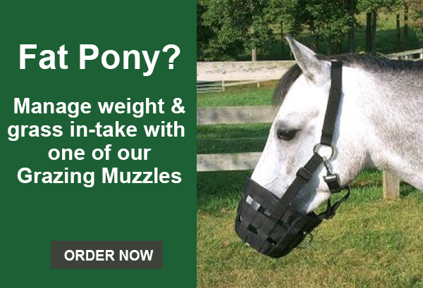 pony grazing muzzles - Spring grass can be high in sugar and risky for ponies. Learn how grazing muzzles help control intake, reduce laminitis risk, and safely manage spring pasture.