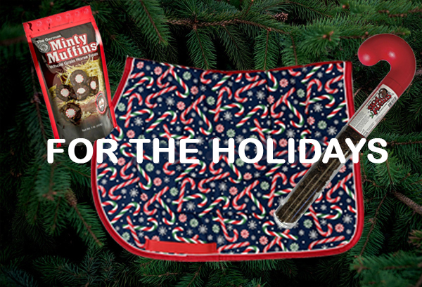 christmas horse treats, holiday horse wear, Christmas pony,  Holdiay pony