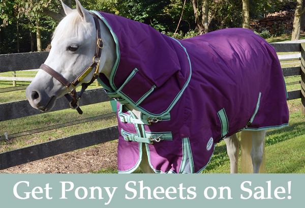 Sale on pony sheets, pony coolers, pony fly sheets, pony turnout sheets