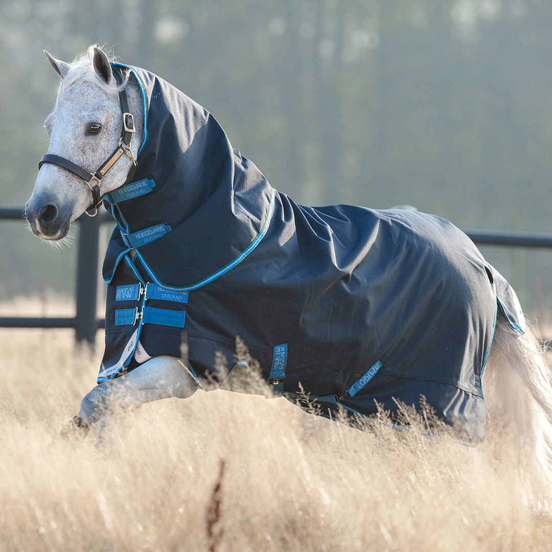 The Best Pony Blankets for 2023 Just for Ponies