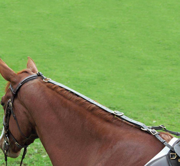 Martingale Allemande Pour Cheval - Modèle Avignon Par Shires