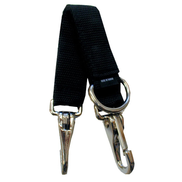 Lunging Strap