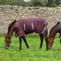 Amigo Foal / Mini Turnout 600D Blanket, 200g, Fig/Navy/Tan,  30" - 54"